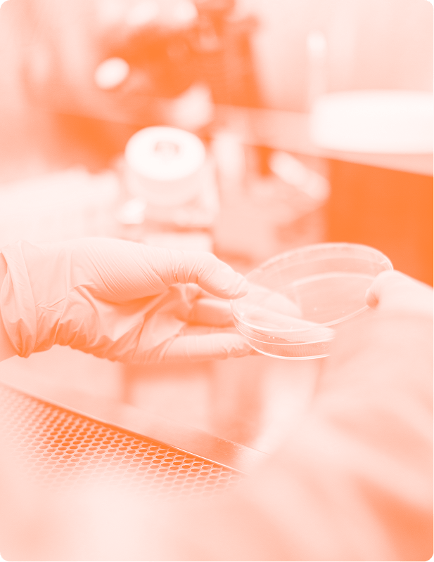 Laboratory with orange gradient